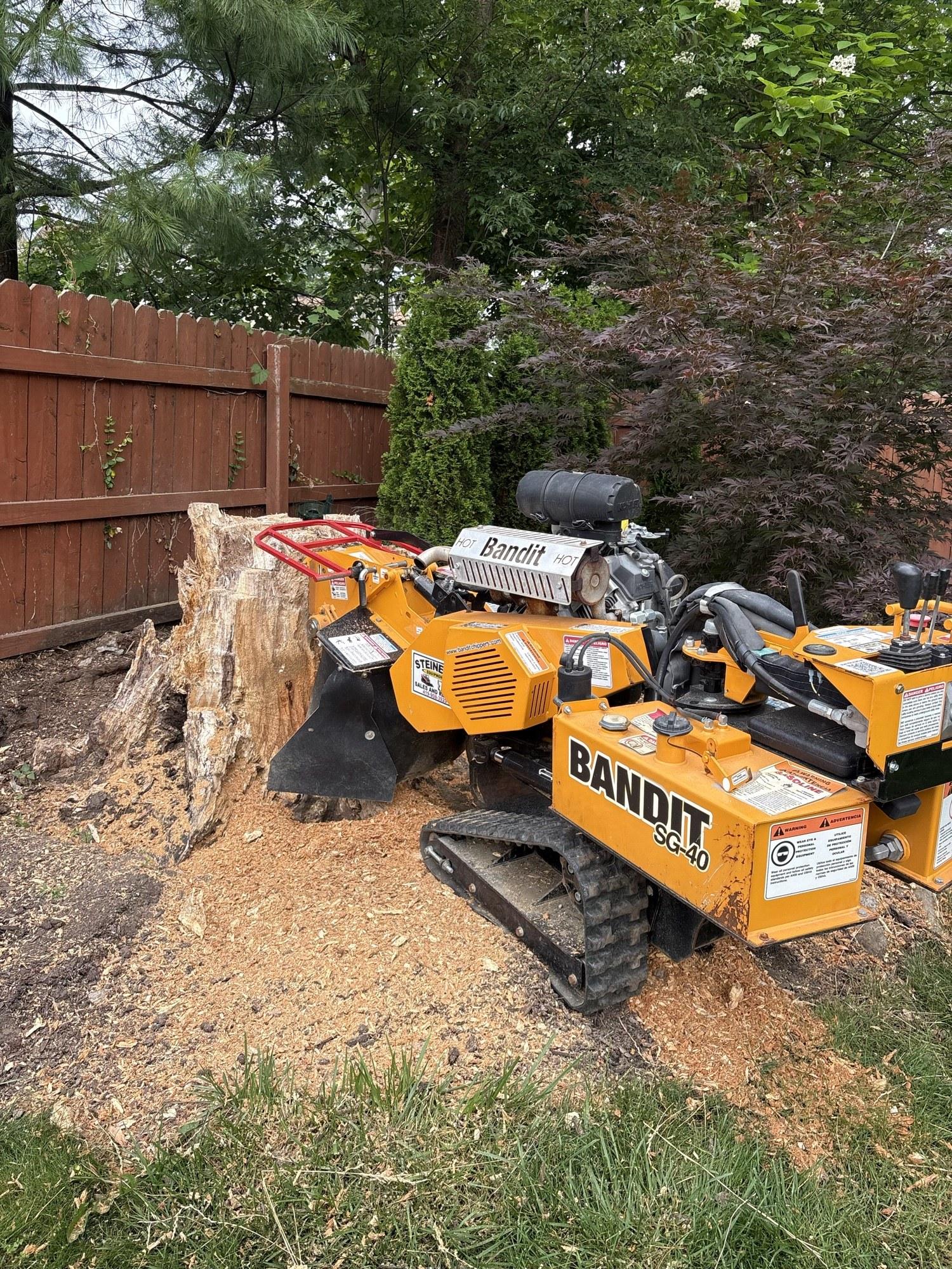 Bandit stump grinder clearing a large tree stump